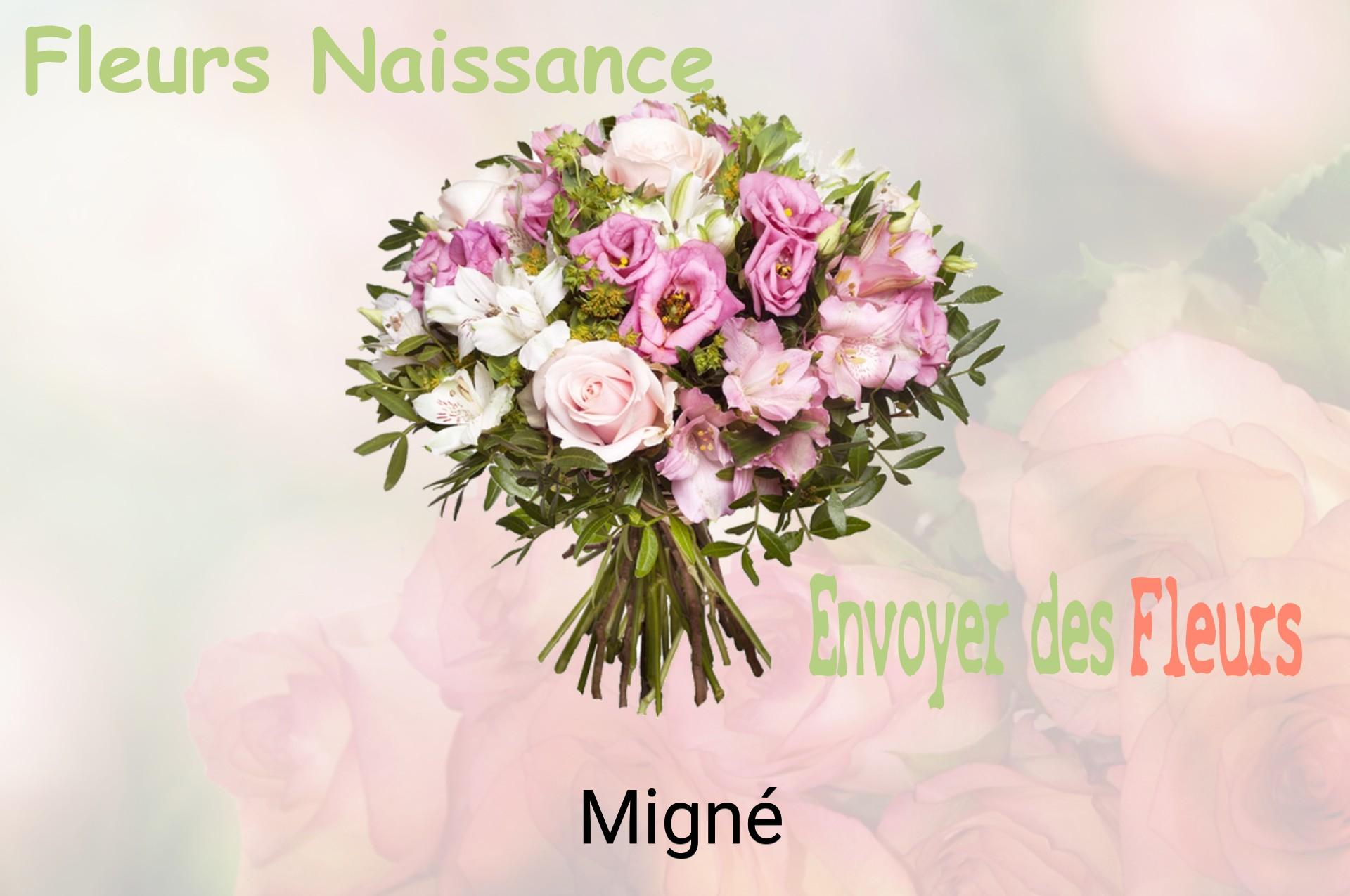 Bouquet de fleurs de naissance livré à Migné